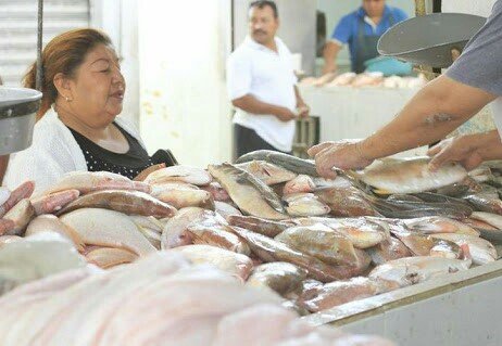 Se Incrementa El Precio De Pescado Alzas De La Gasolina Principal Factor